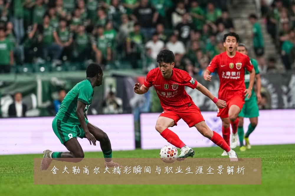 舍夫勒高尔夫精彩瞬间与职业生涯全景解析